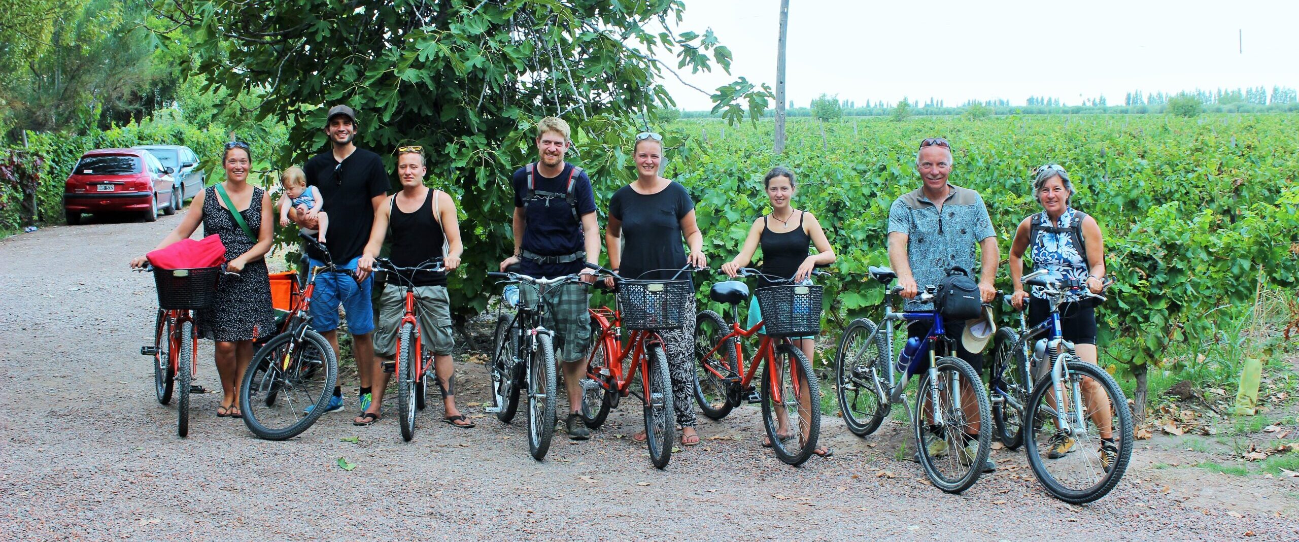 13 – Mit dem Velo von Weingut zu Weingut