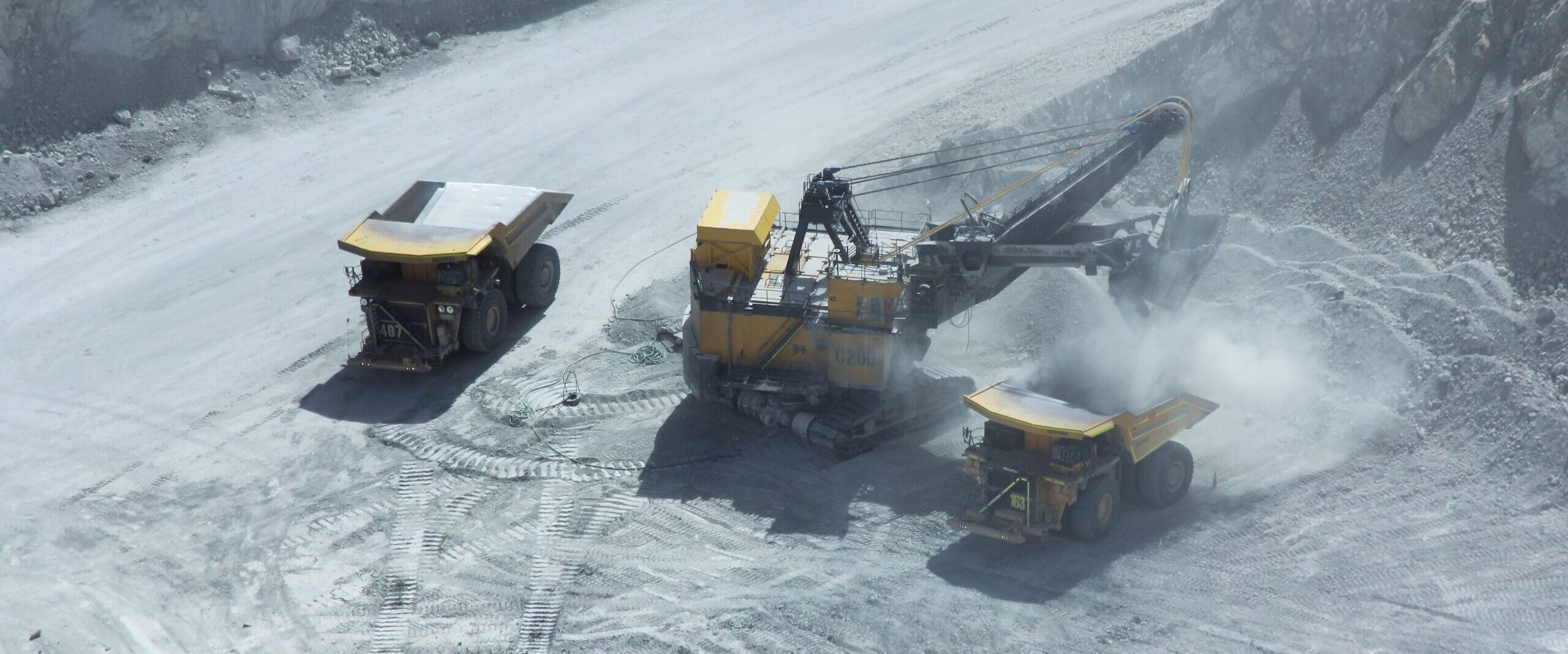 17 – Tang, Kupfer, Salpeter und Lithium