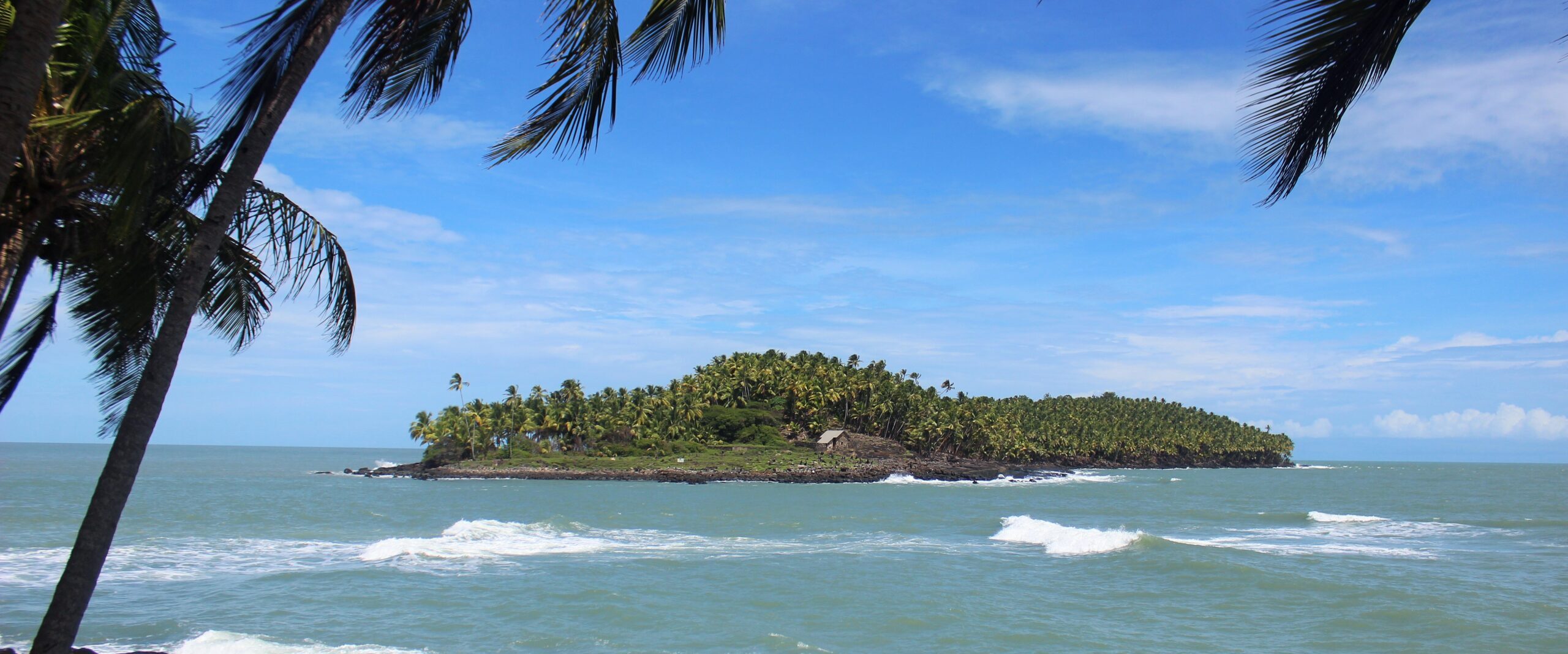 33 – Französisch Guyane und Martinique