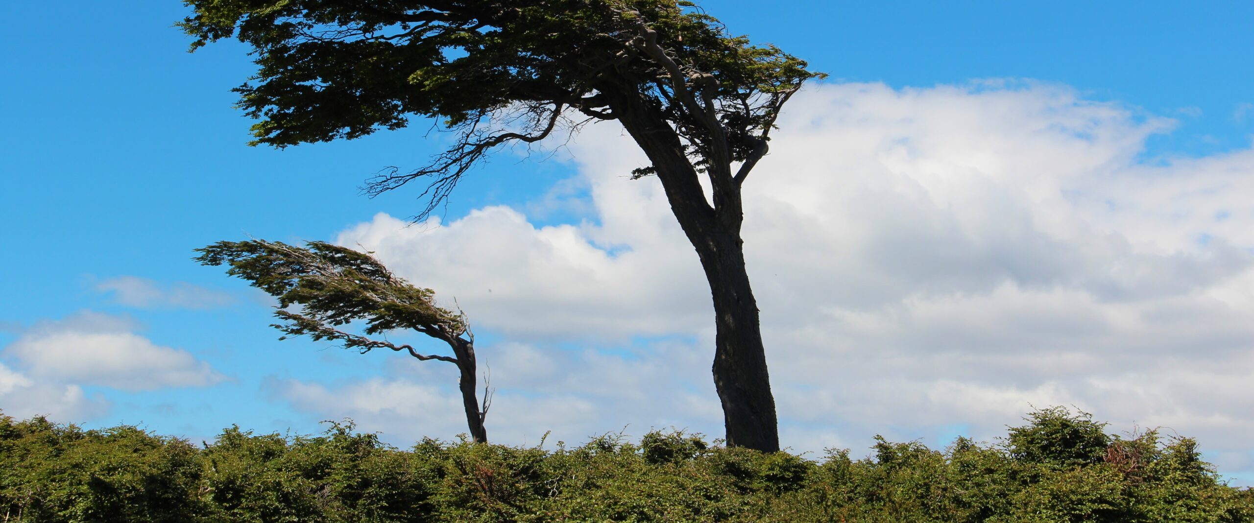 05 – Südpatagonien – Feuerland