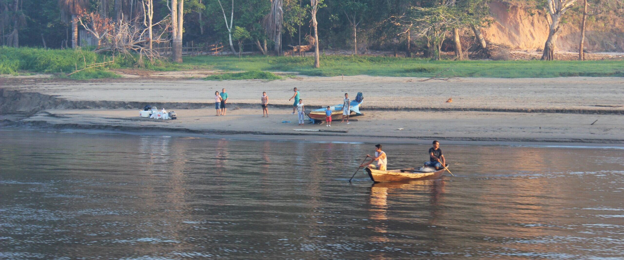 29 – Amazonas